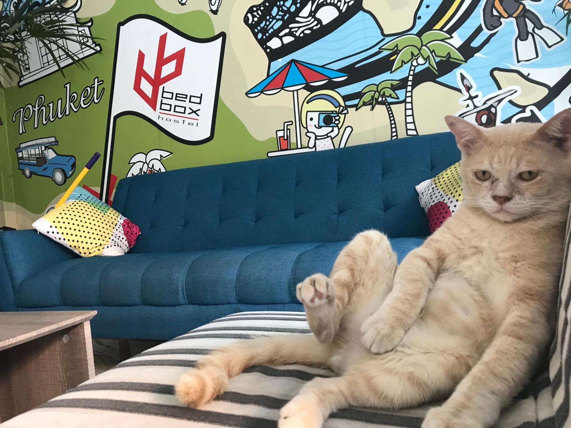 Bedbox Guesthouse And Hostel Patong Экстерьер фото